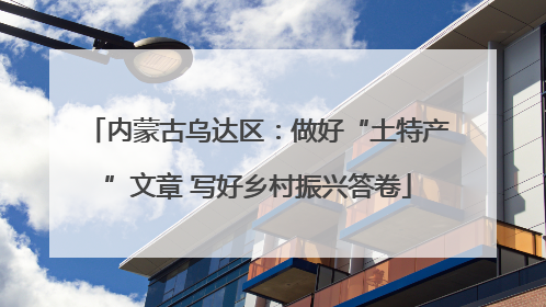 内蒙古乌达区：做好“土特产”文章 写好乡村振兴答卷