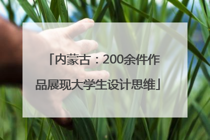 内蒙古：200余件作品展现大学生设计思维