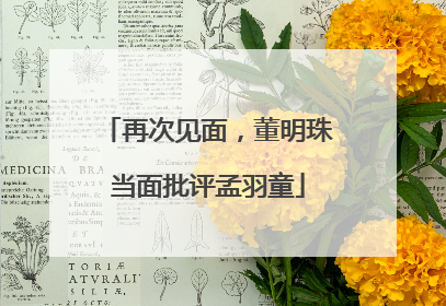 再次见面，董明珠当面批评孟羽童