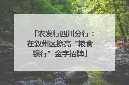 农发行四川分行：在叙州区擦亮“粮食银行”金字招牌