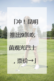 冲！昆明推出9条吃菌观光巴士，票价→