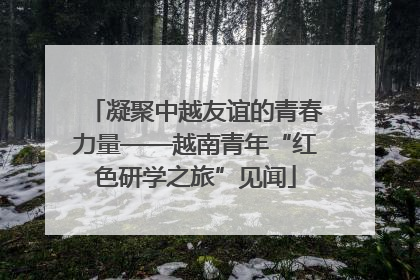 凝聚中越友谊的青春力量——越南青年“红色研学之旅”见闻