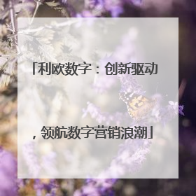 利欧数字：创新驱动，领航数字营销浪潮