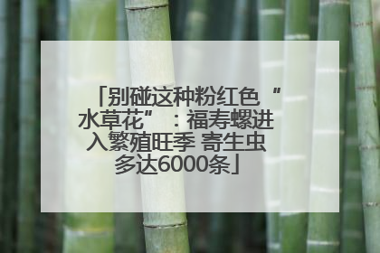 别碰这种粉红色“水草花”：福寿螺进入繁殖旺季 寄生虫多达6000条