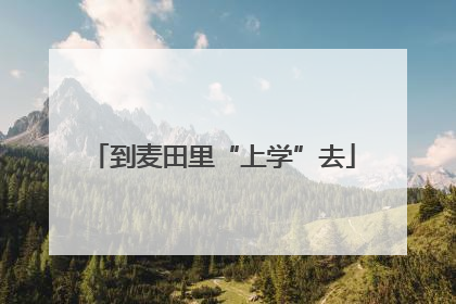 到麦田里“上学”去
