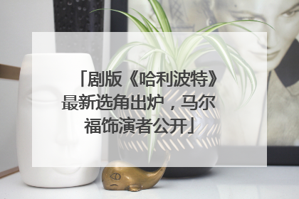 剧版《哈利波特》最新选角出炉，马尔福饰演者公开