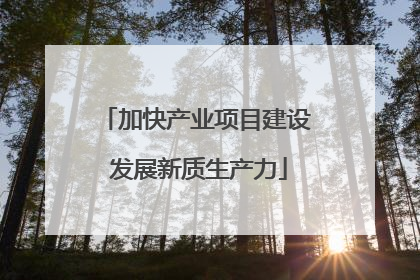 加快产业项目建设 发展新质生产力