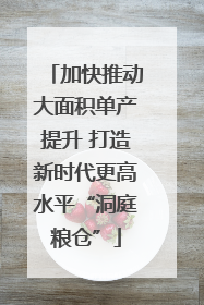 加快推动大面积单产提升 打造新时代更高水平“洞庭粮仓”