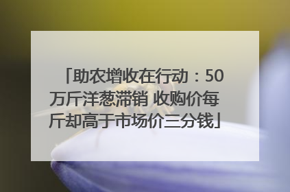 助农增收在行动：50万斤洋葱滞销 收购价每斤却高于市场价三分钱