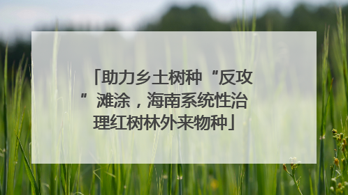助力乡土树种“反攻”滩涂，海南系统性治理红树林外来物种