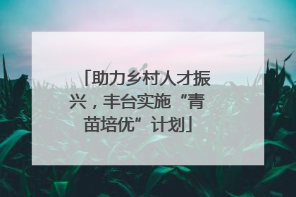 助力乡村人才振兴，丰台实施“青苗培优”计划
