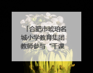合肥市琥珀名城小学教育集团教师参与“千课万人”数学论坛活动