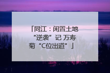 同江：闲置土地“逆袭”记 万寿菊“C位出道”