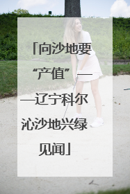 向沙地要“产值”——辽宁科尔沁沙地兴绿见闻