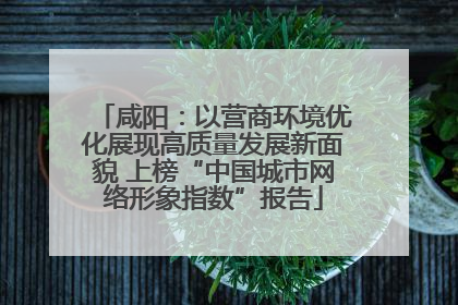 咸阳：以营商环境优化展现高质量发展新面貌 上榜“中国城市网络形象指数”报告