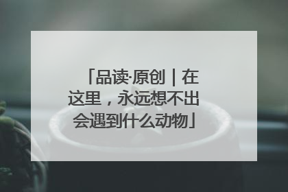 品读·原创｜在这里，永远想不出会遇到什么动物