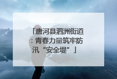 唐河县泗洲街道：青春力量筑牢防汛“安全堤”