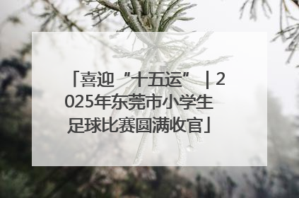 喜迎“十五运”｜2025年东莞市小学生足球比赛圆满收官