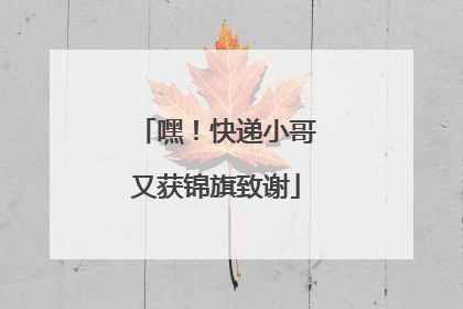 嘿！快递小哥又获锦旗致谢