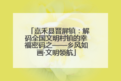 嘉禾县晋屏镇：解码全国文明村镇的幸福密码之——乡风如画·文明领航