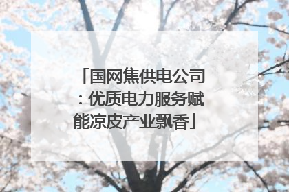 国网焦供电公司：优质电力服务赋能凉皮产业飘香