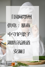 国网鄂州供电：暴雨中守护梁子湖防汛通道安澜