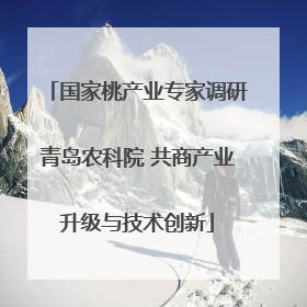 国家桃产业专家调研青岛农科院 共商产业升级与技术创新