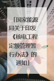 国家能源局关于印发《核电工程定额管理暂行办法》的通知