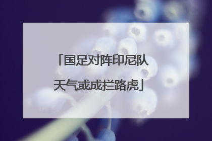 国足对阵印尼队 天气或成拦路虎