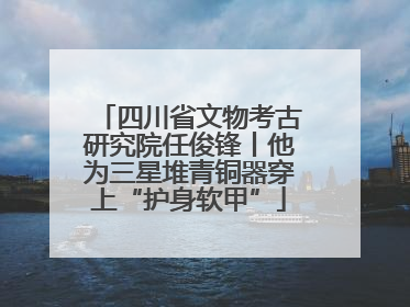 四川省文物考古研究院任俊锋丨他为三星堆青铜器穿上“护身软甲”