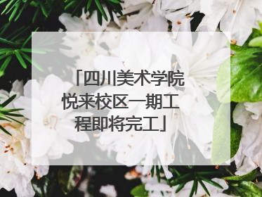 四川美术学院悦来校区一期工程即将完工