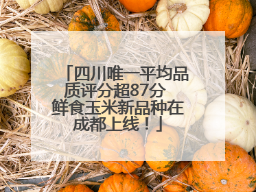 四川唯一平均品质评分超87分 鲜食玉米新品种在成都上线！
