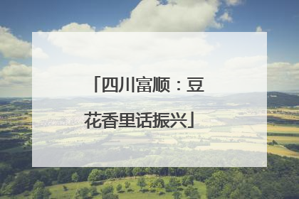 四川富顺：豆花香里话振兴