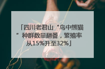 四川老君山“鸟中熊猫”种群数量翻番，繁殖率从15%升至32%