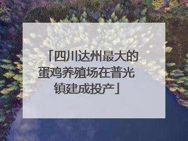四川达州最大的蛋鸡养殖场在普光镇建成投产