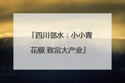 四川邻水：小小青花椒 致富大产业