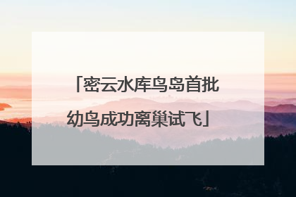 密云水库鸟岛首批幼鸟成功离巢试飞