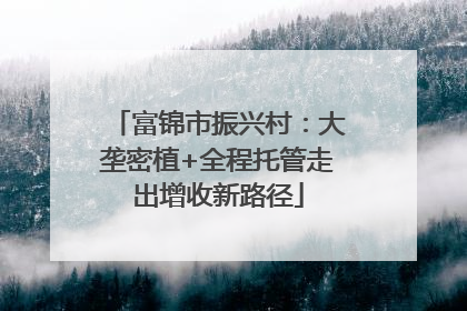 富锦市振兴村：大垄密植+全程托管走出增收新路径