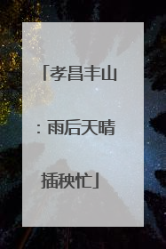 孝昌丰山：雨后天晴插秧忙