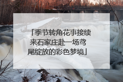 季节转角花事接续 来石家庄赴一场鸢尾绽放的彩色梦境