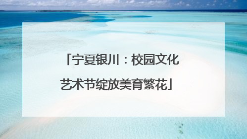 宁夏银川：校园文化艺术节绽放美育繁花