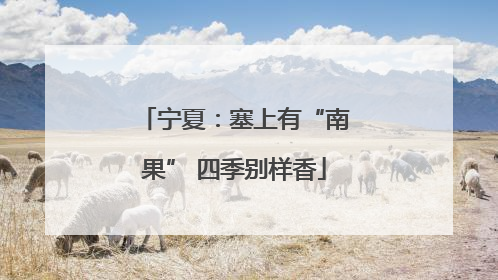 宁夏：塞上有“南果” 四季别样香