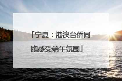 宁夏：港澳台侨同胞感受端午氛围