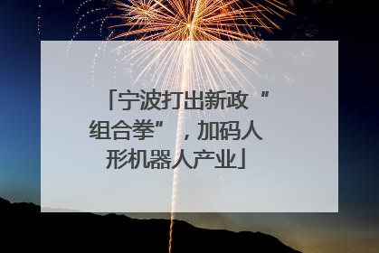 宁波打出新政“组合拳”，加码人形机器人产业