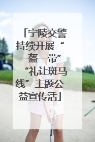 宁陵交警持续开展“一盔一带”“礼让斑马线”主题公益宣传活