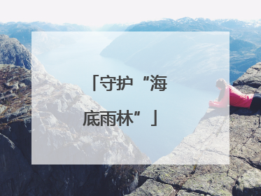 守护“海底雨林”