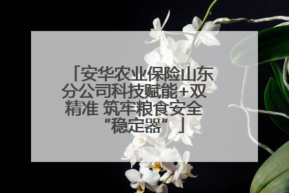 安华农业保险山东分公司科技赋能+双精准 筑牢粮食安全“稳定器”