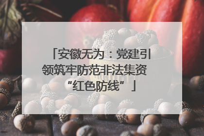 安徽无为：党建引领筑牢防范非法集资“红色防线”