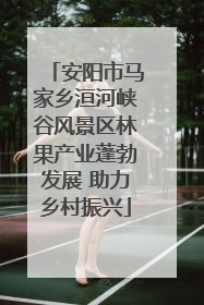 安阳市马家乡洹河峡谷风景区林果产业蓬勃发展 助力乡村振兴