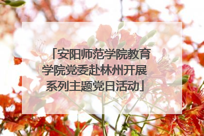 安阳师范学院教育学院党委赴林州开展系列主题党日活动